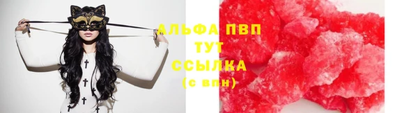 винт Алзамай