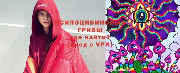 винт Алзамай