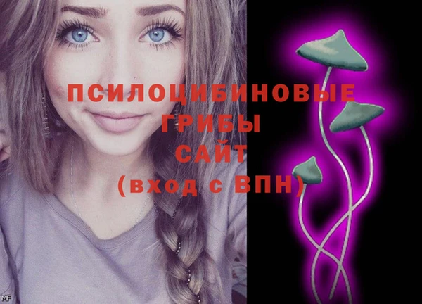 винт Алзамай