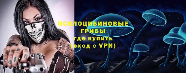 винт Алзамай